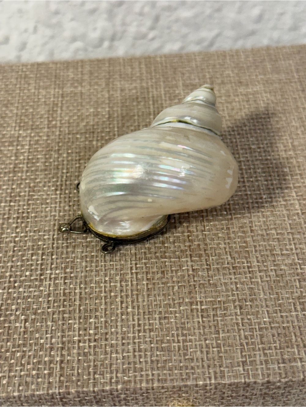 Antique Mother of Pearl Sea Snail Shell Chatelaine Coin Purse Trinket Box